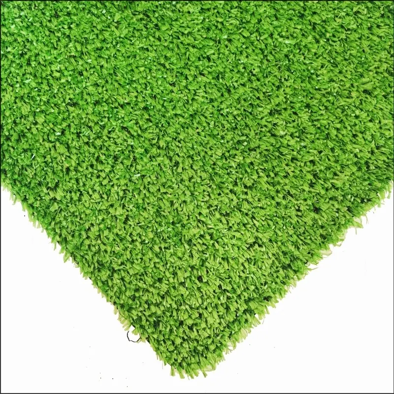 See More About カーペットグラスCG10