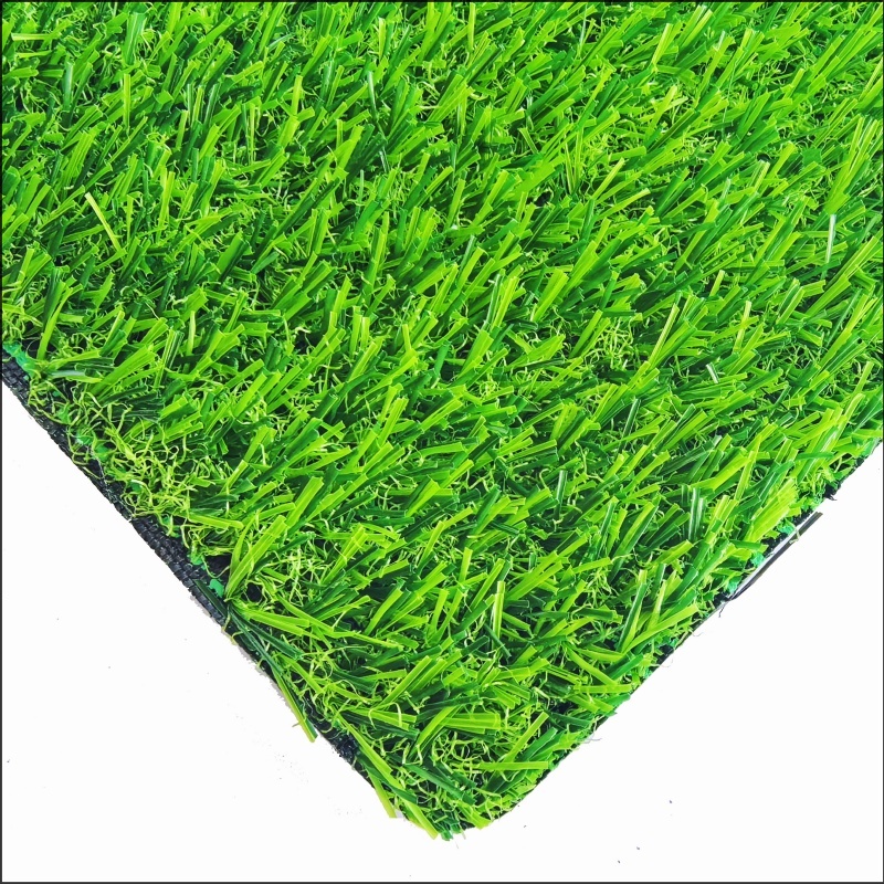遊び場の草（PG20）
