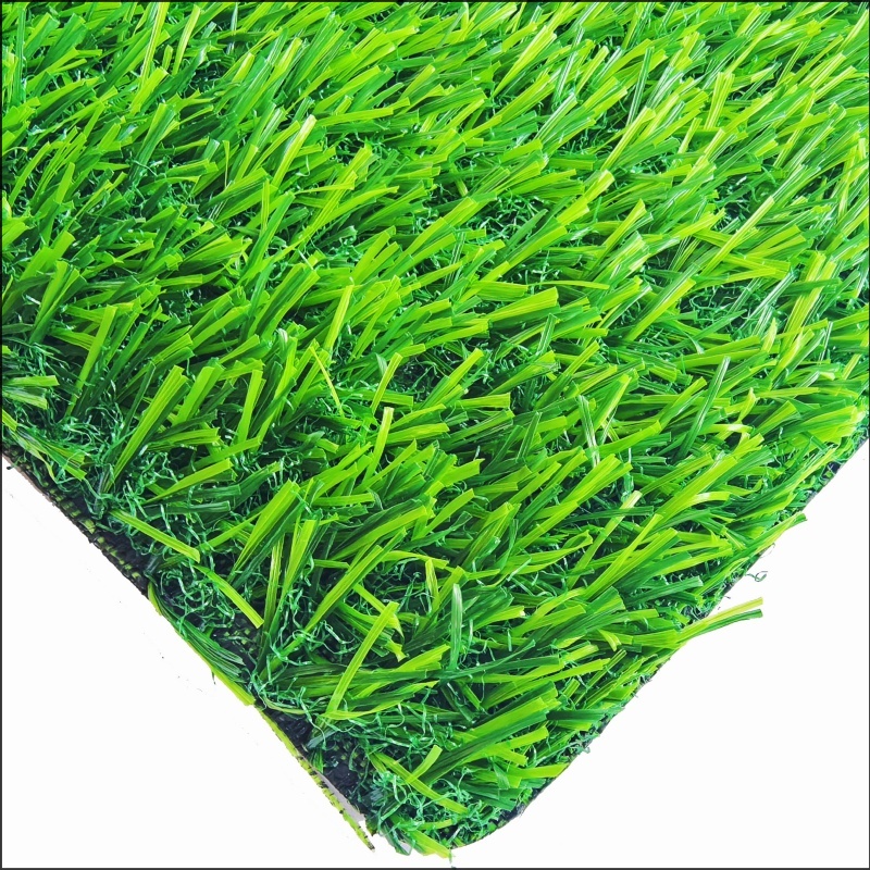 遊び場の草（PG30）