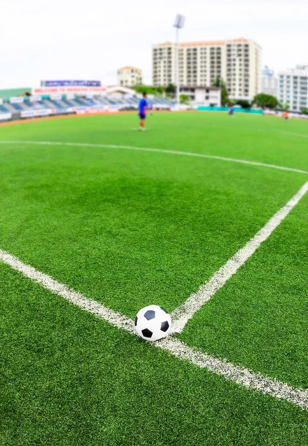サッカーの草